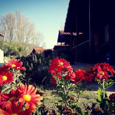 El Venero De Mostoles Constantina Esterno foto